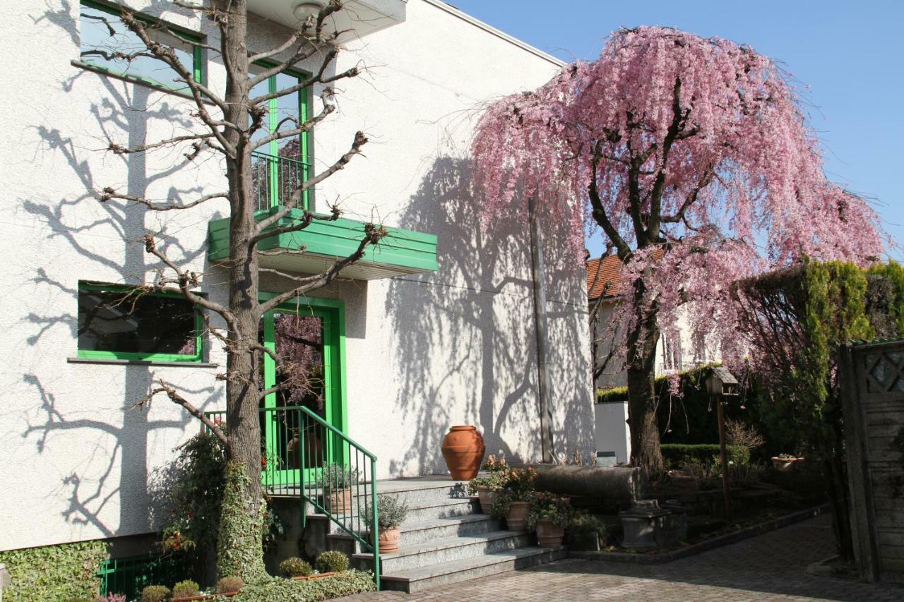 Albergo Nardini Lentate sul Seveso ภายนอก รูปภาพ